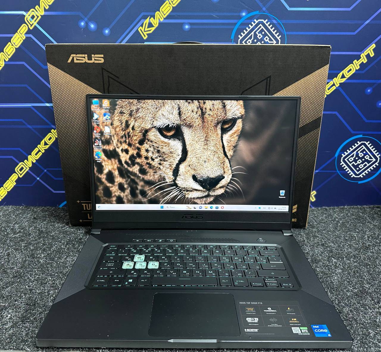 Игровой ноутбук Asus FX516PM 15.6